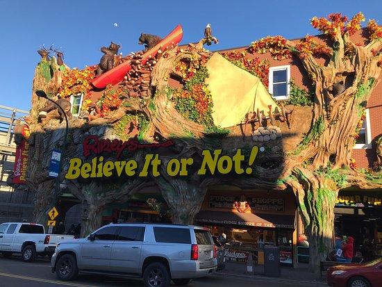 Ripley's Believe It or Not Museum